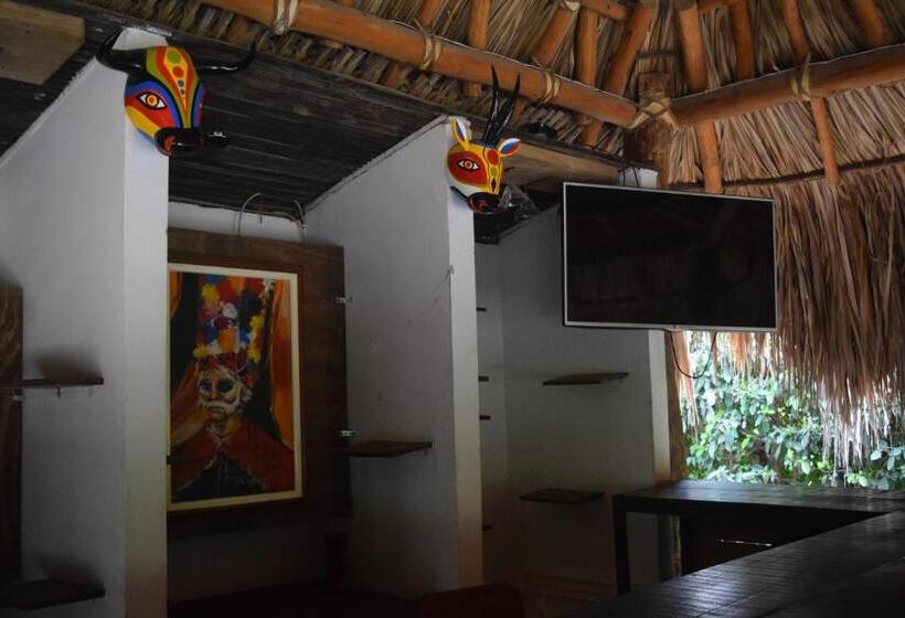 膳宿费 Palomino Breeze Hostal