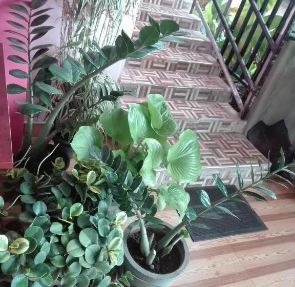 ペンション The Rock Face