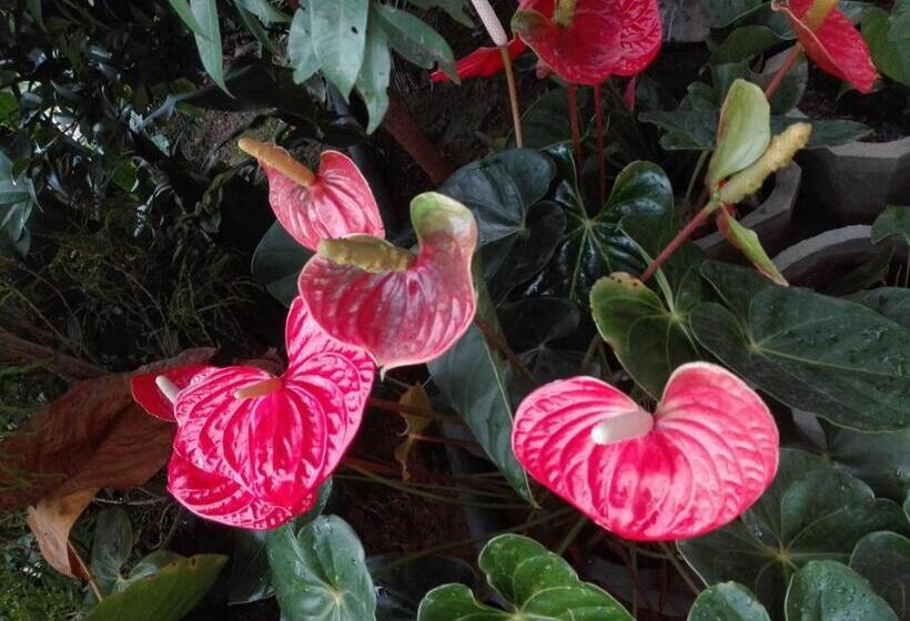 ペンション The Rock Face