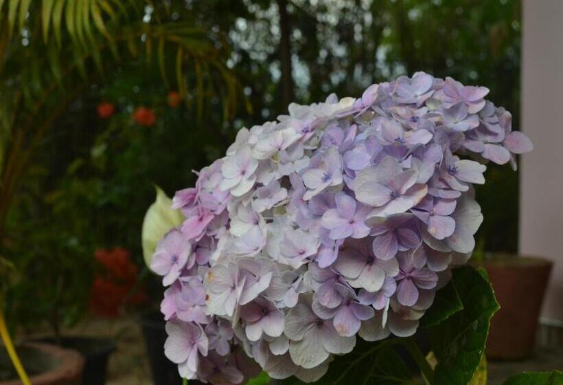 ペンション The Rock Face