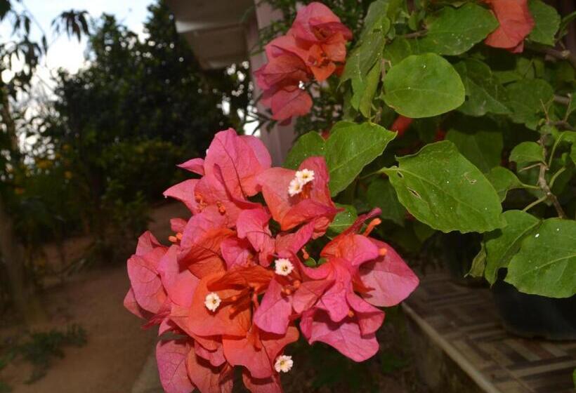 ペンション The Rock Face