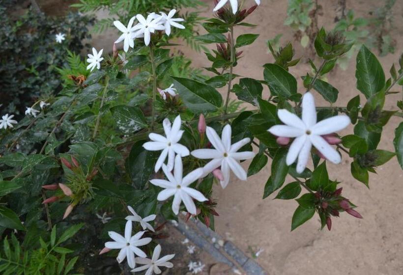 ペンション The Rock Face