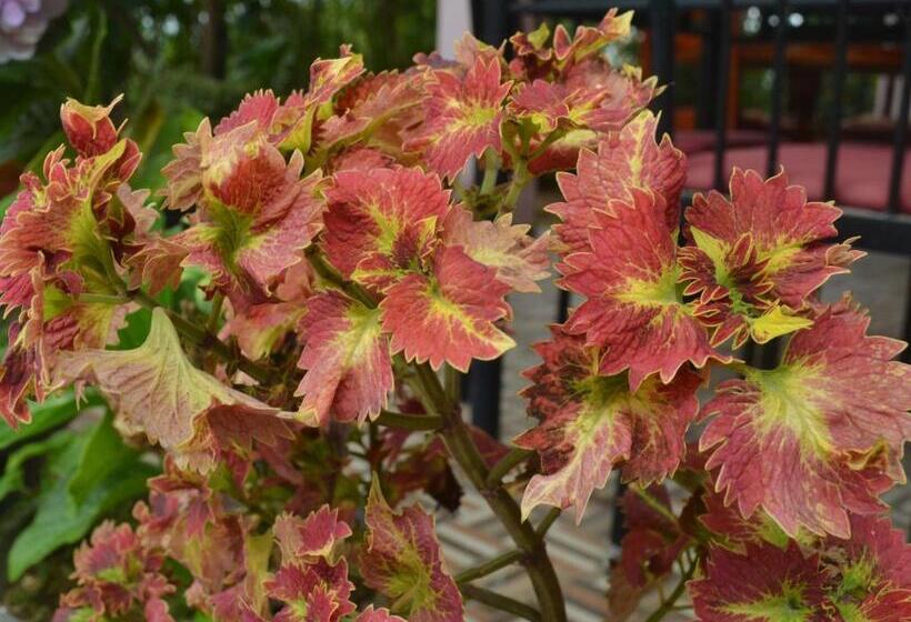 ペンション The Rock Face