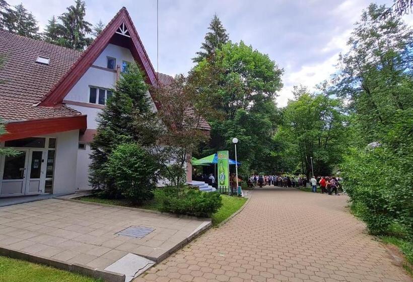 Pensiunea Happy Inn