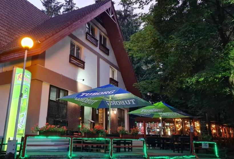 Pensiunea Happy Inn