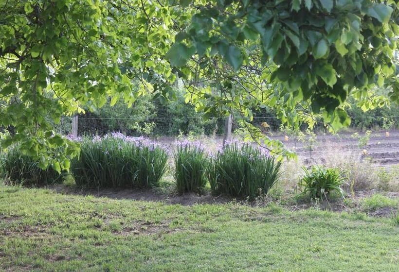 Hostel Avalenn, Casa De Campo