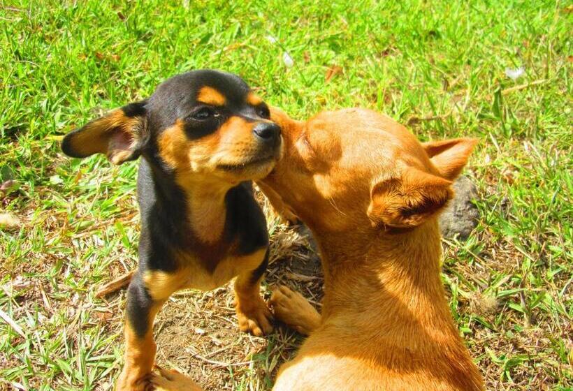 هاستل La Posada Del Cucú