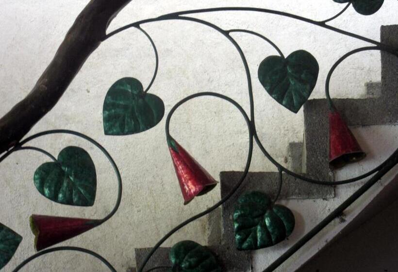 הוסטל La Posada Del Cucú