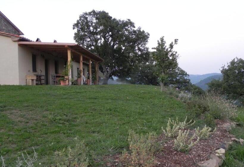 בית מלון כפרי Agriturismo Sugheretello