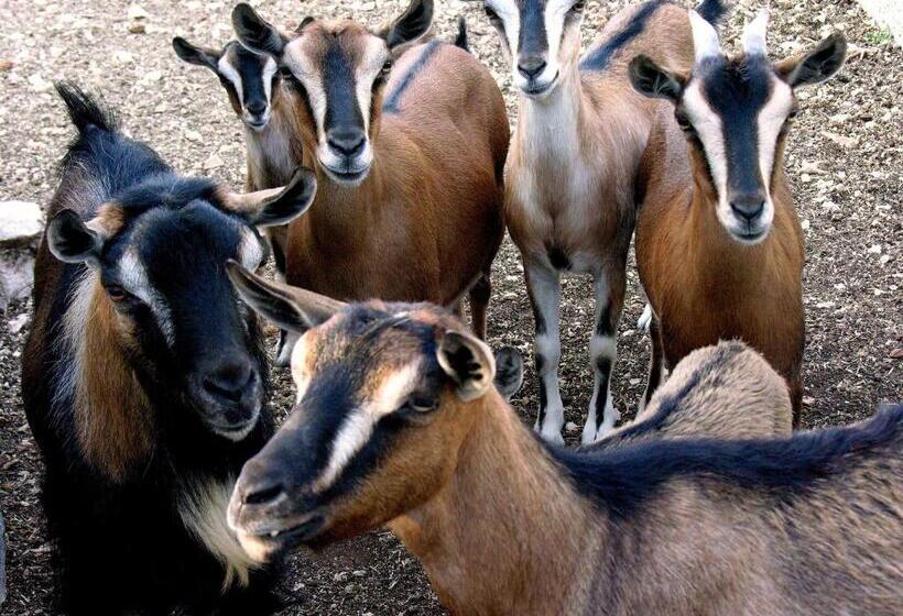 فندق Agriturismo Valle Verde