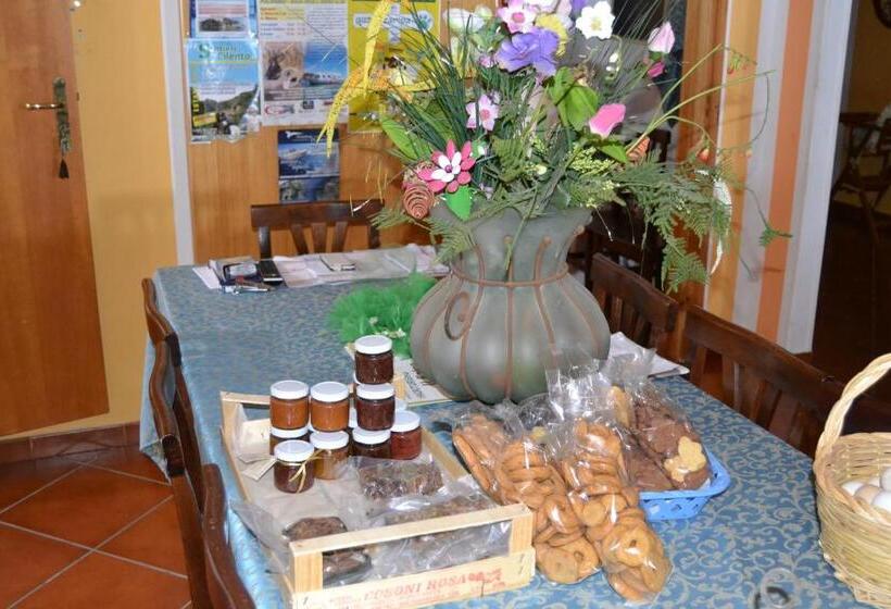 בית מלון כפרי Il Falco Del Cilento