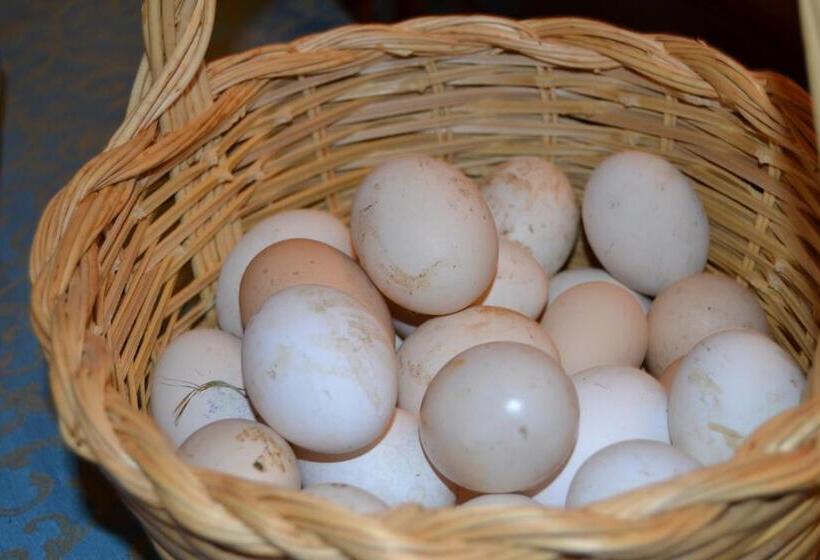 בית מלון כפרי Il Falco Del Cilento