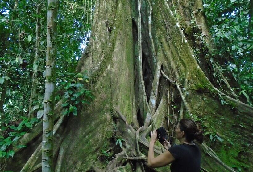 酒店 Platinum Class