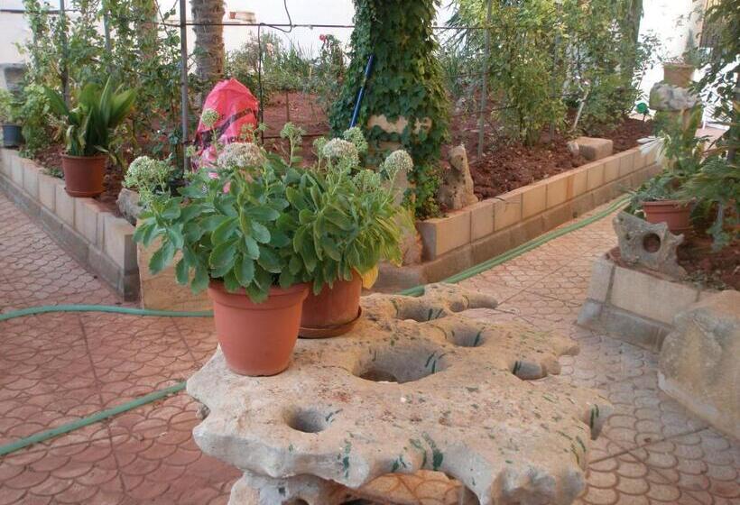 بنسيون Hostal Los Rosales