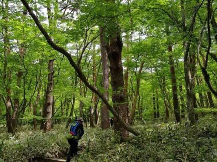 פנסיון Jeju Mimong