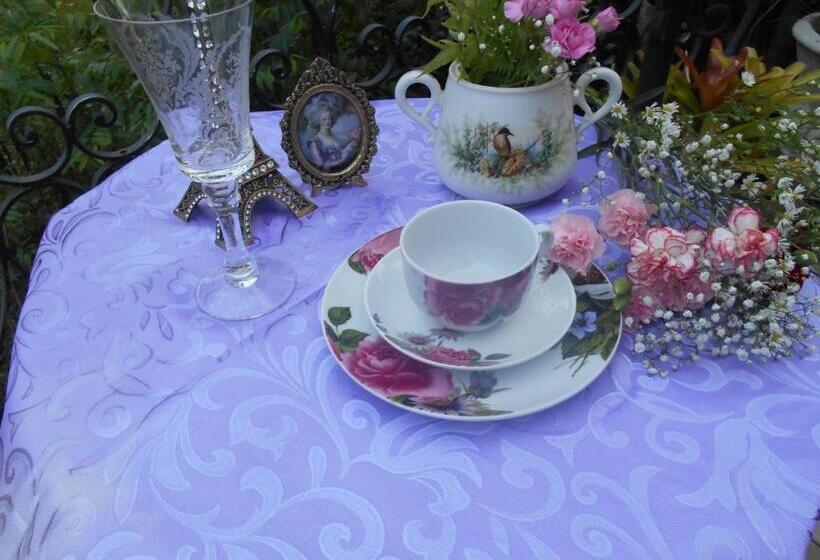 بنسيون La Petite France