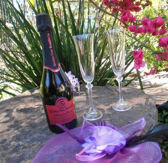 بنسيون La Petite France