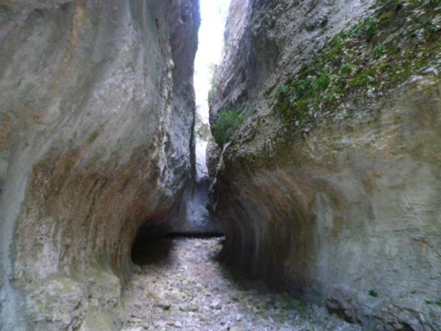 Пансион Les Tournillayres