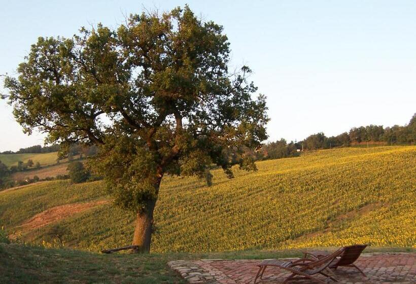 פנסיון Podere Del Fagiano