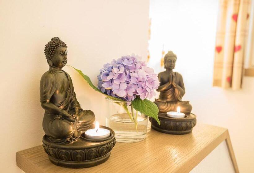 بنسيون Siri's Einkehr