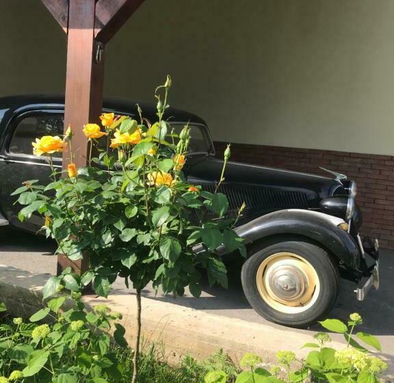 بنسيون Vila Old Cars