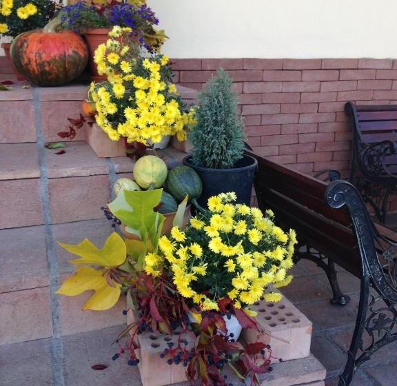 פנסיון Vila Old Cars