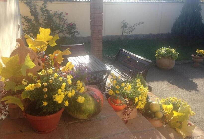 פנסיון Vila Old Cars