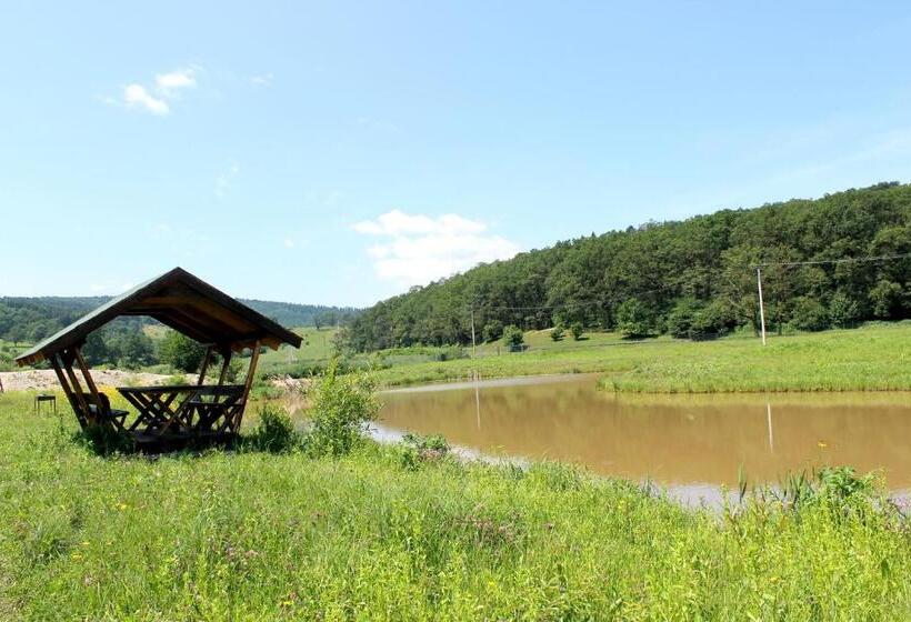 פנסיון Vila Old Cars