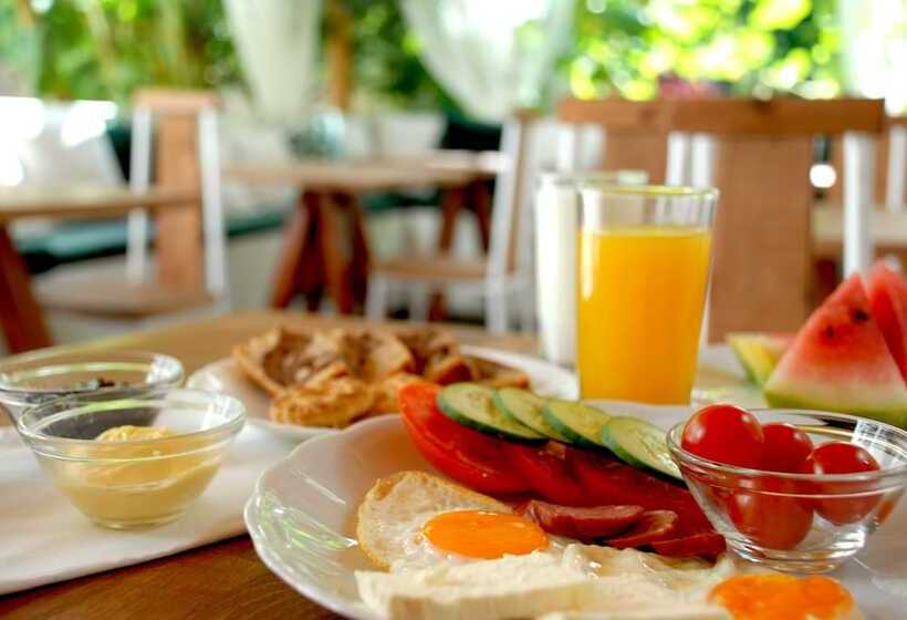 ペンション Villa Mucho