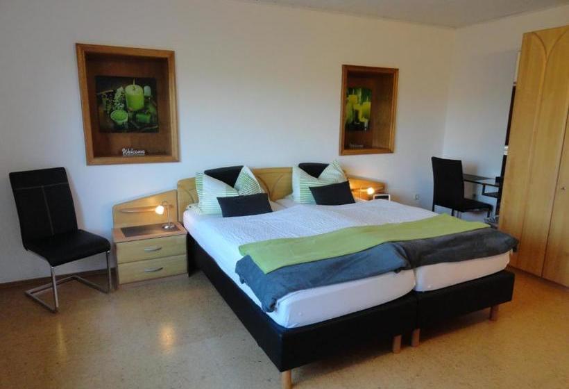 호스텔 Appartement Pension Schüßler