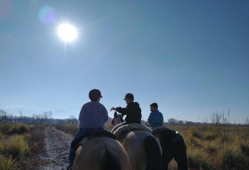 Hostel Caminos De Uco   Posada De Campo