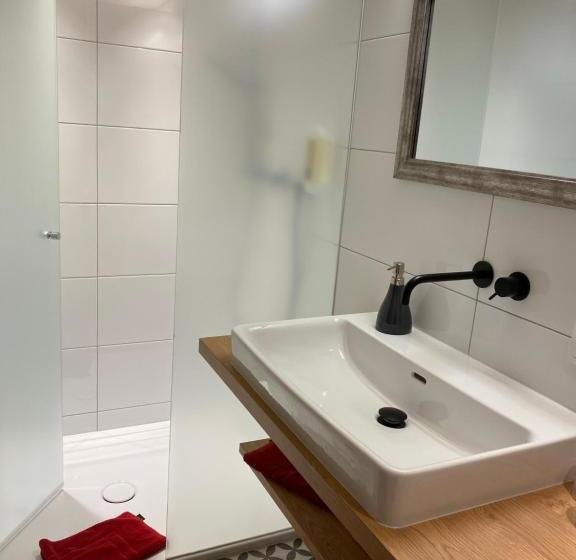 Общежитие Gasthof Adler