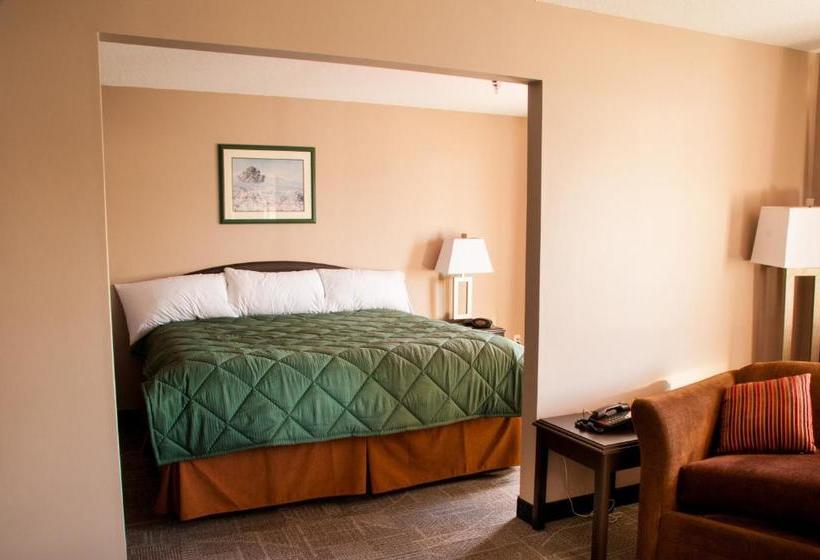 ユースホステル Pier Side Landing