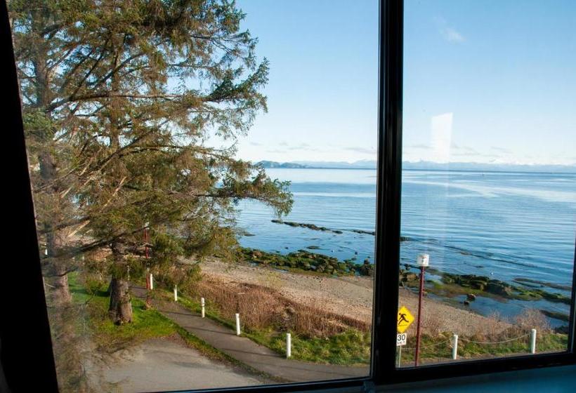 ユースホステル Pier Side Landing