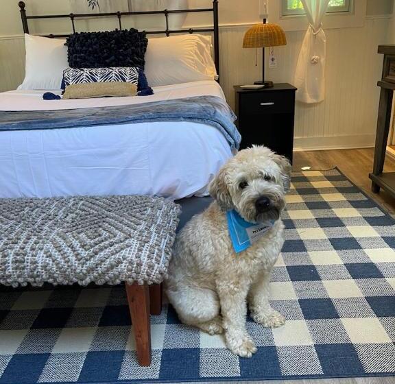 호스텔 The Harbor Inn