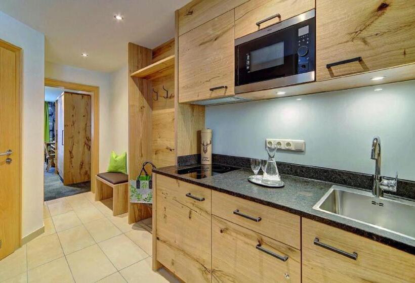 Appart Hotel Wildererstuben