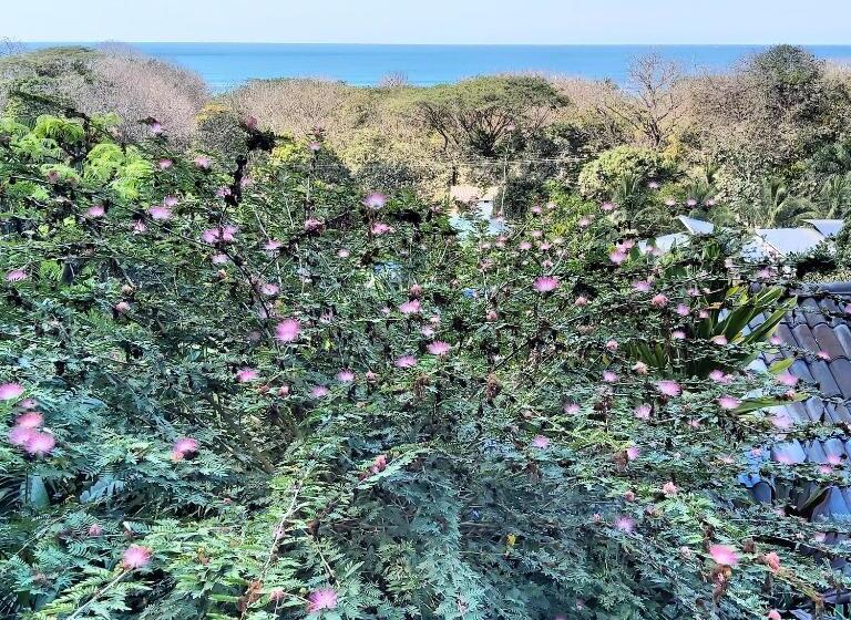 Horizon Hotel & Yoga Center