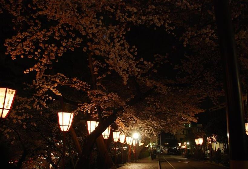 هتل کپسول Town Hotel 41