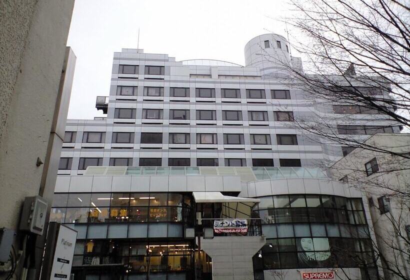 هتل کپسول Town Hotel 41