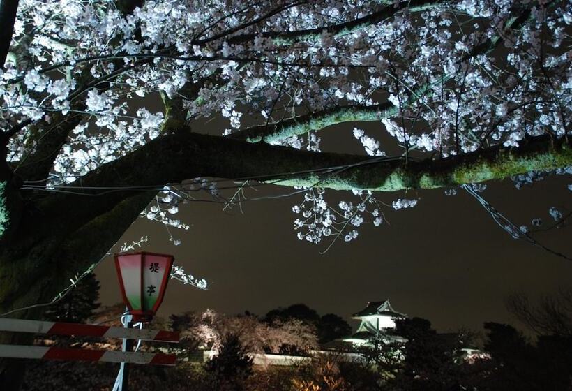 هتل کپسول Town Hotel 41