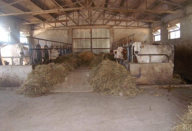 Отель Fattoria Del Quondam