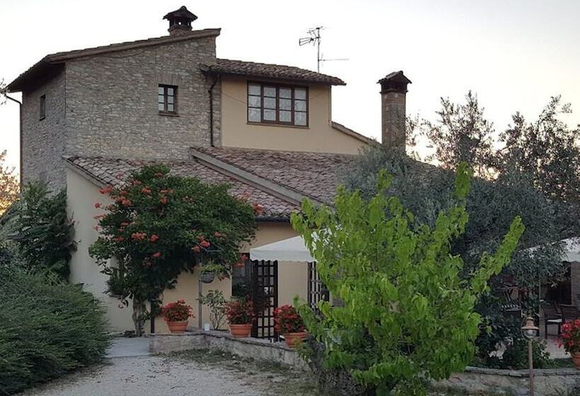 Отель Fattoria Del Quondam