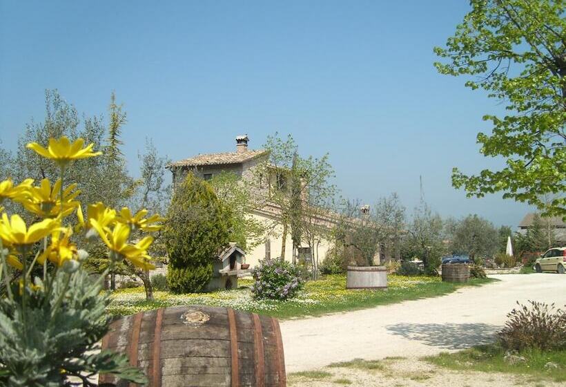 Отель Fattoria Del Quondam