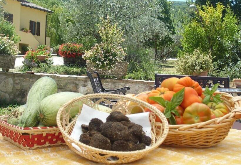 Отель Fattoria Del Quondam