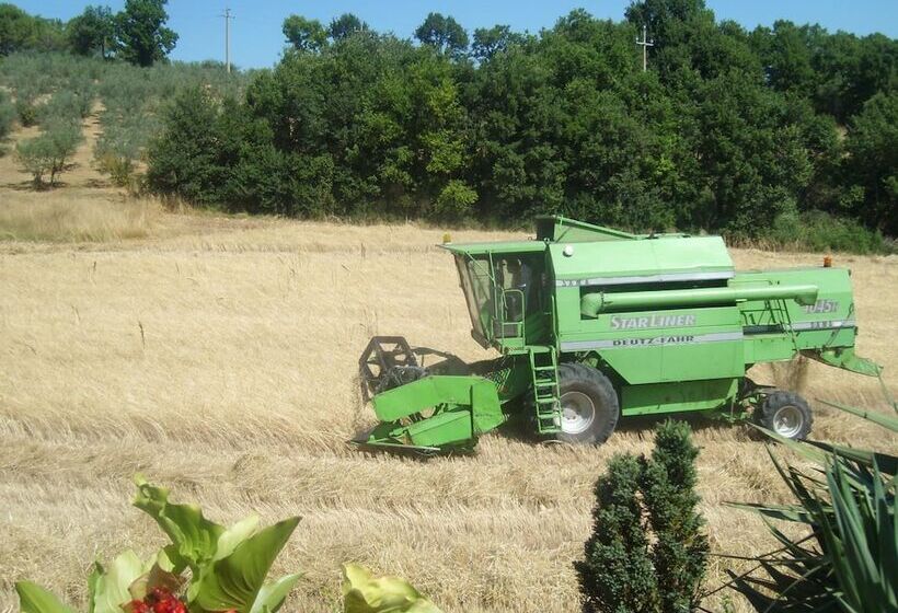 Отель Fattoria Del Quondam