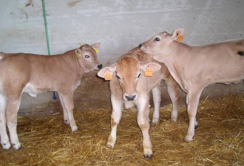 Отель Fattoria Del Quondam