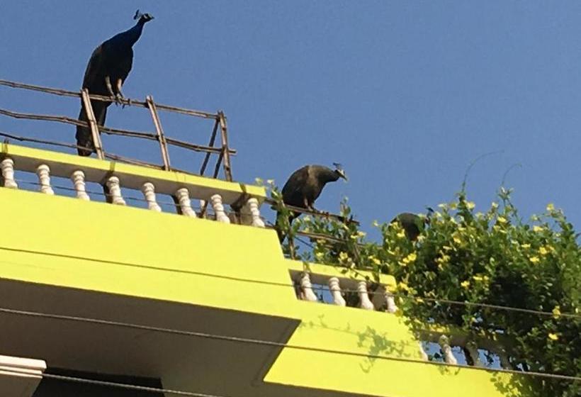 פנסיון Arunachala Ramana Home