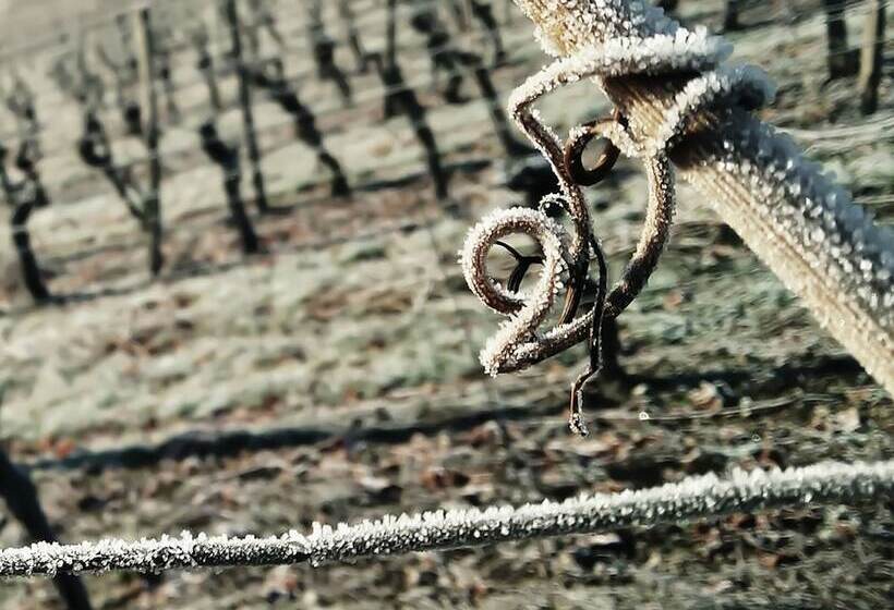 膳宿费 Brunnenhof Randersacker  Das Kleine