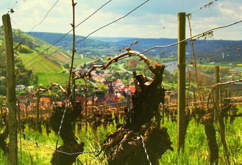 펜션 Brunnenhof Randersacker Das Kleine