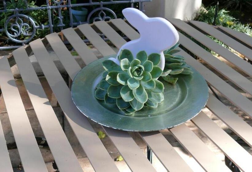 ペンション Cecil John Rhodes Guest House